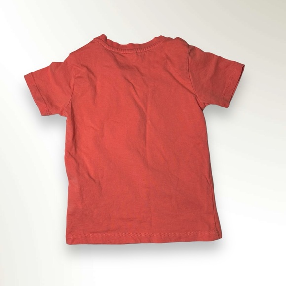 Tuc Tuc short sleeve T-shirt and short with fruit and dino print outfit size 2T - Picture 3 of 11